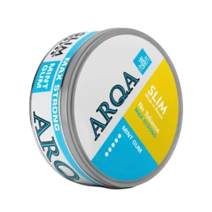 ARQA 100 | Mint Gum - Nicpack